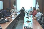 برگزاری جلسه کمیته اضطراری زئونوزها در شبکه بهداشت و درمان اسلامشهر